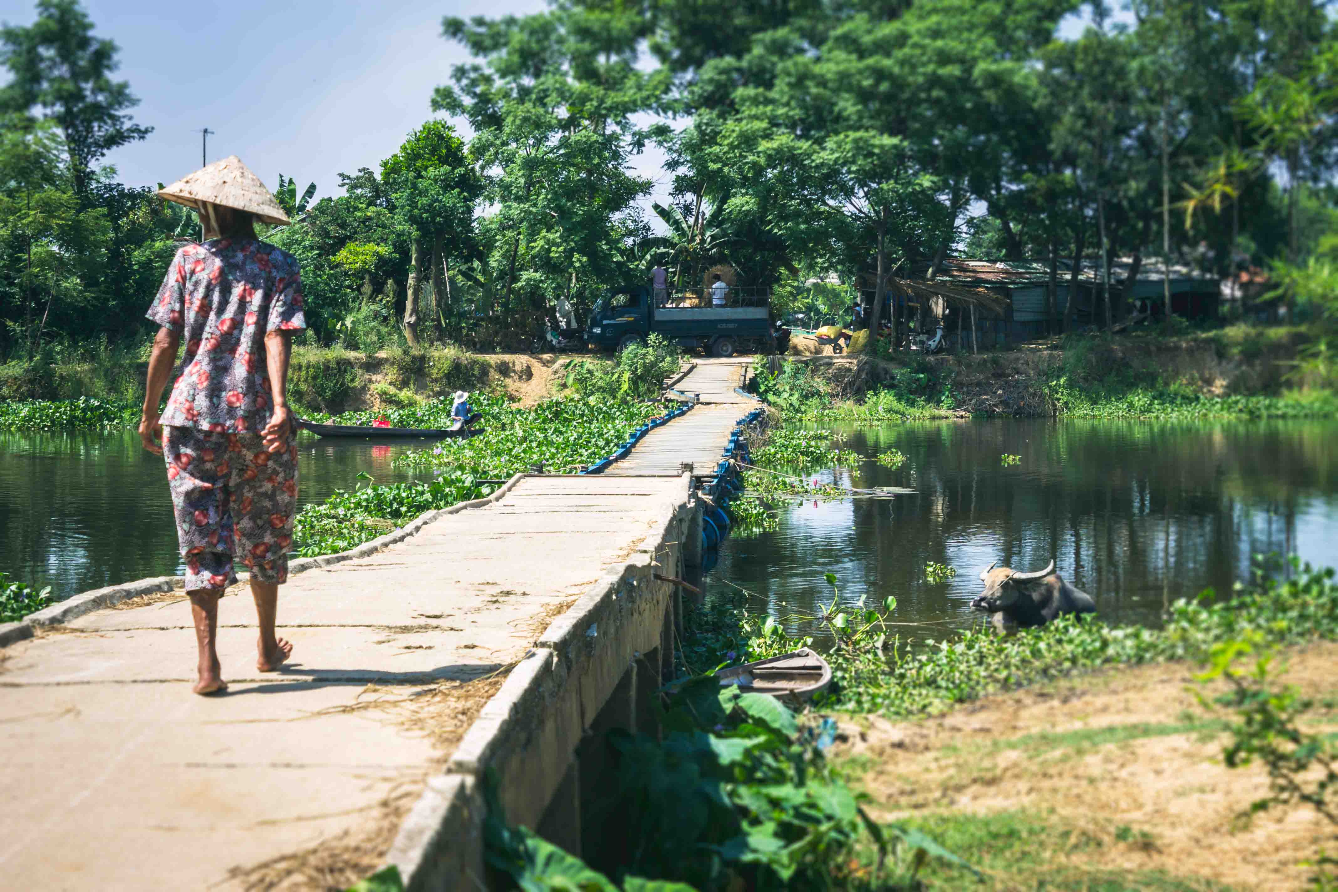 Vietnam Village photography holiday water buffalo